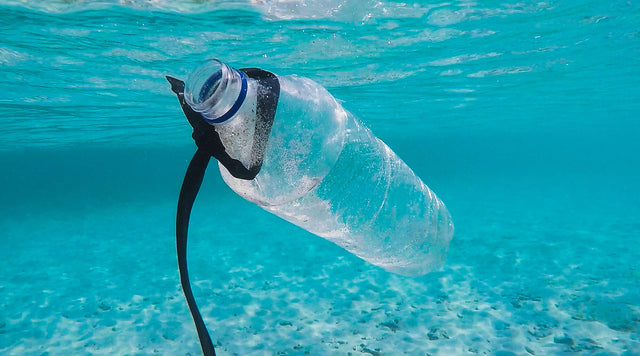 how is plastic harmful to the environment?